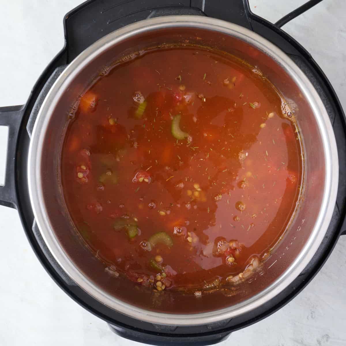 After stirring in lentils and tomatoes with broth added.