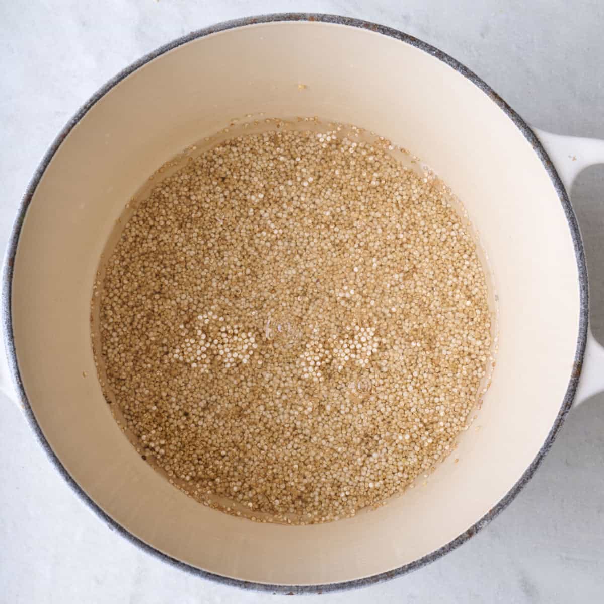 Rinsed quinoa and water in a pot before cooking.