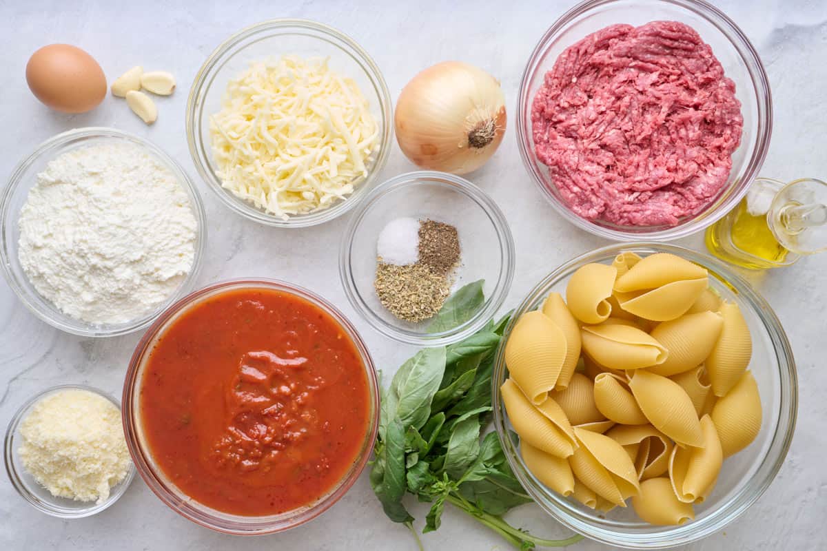 Ingredients for recipe before prepping: egg, garlic, ricotta, parmesan cheese, marinara sauce, onion, salt, pepper, italian seasoning, ground beef, basil, pasta shells, and oil.