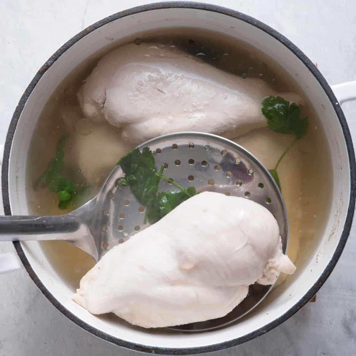 Chicken breasts after cooking being lifted out of cooking liquid in a pot.