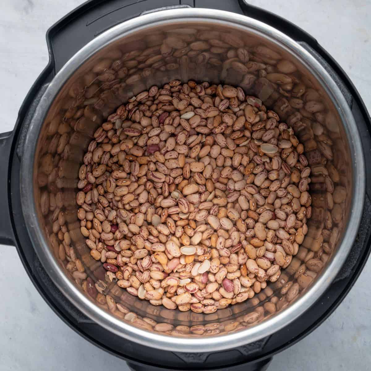 Dry beans in an Instant Pot.