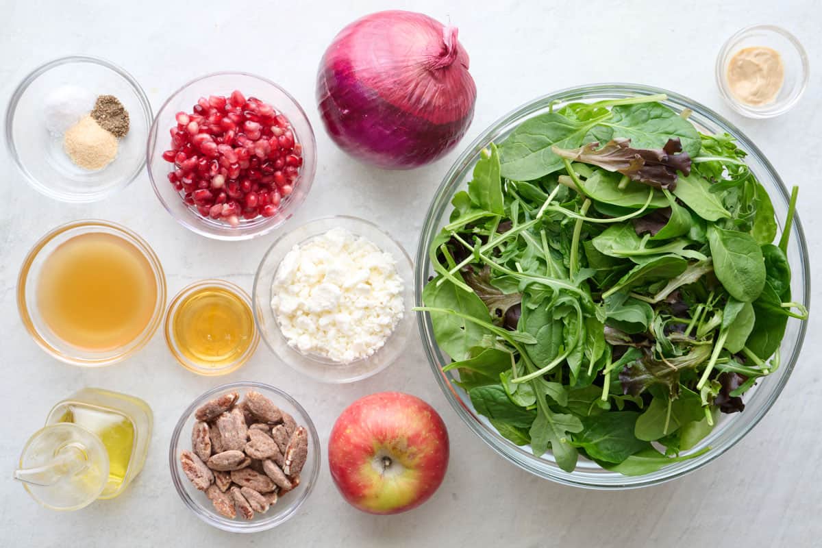 Ingredients for recipe: seasonings, apple cider vinegar, oil, honey, Dijon mustard, pomegranate arils, candied pecans, apple, mixed greens, red onion, and goat cheese.