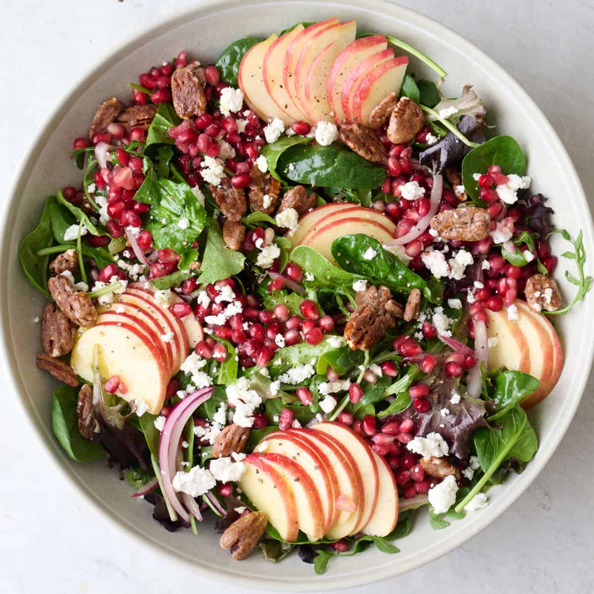 Sliced apples, pomegranates, candied pecans, goat cheese, sliced red onion added on top of dressed salad greens.