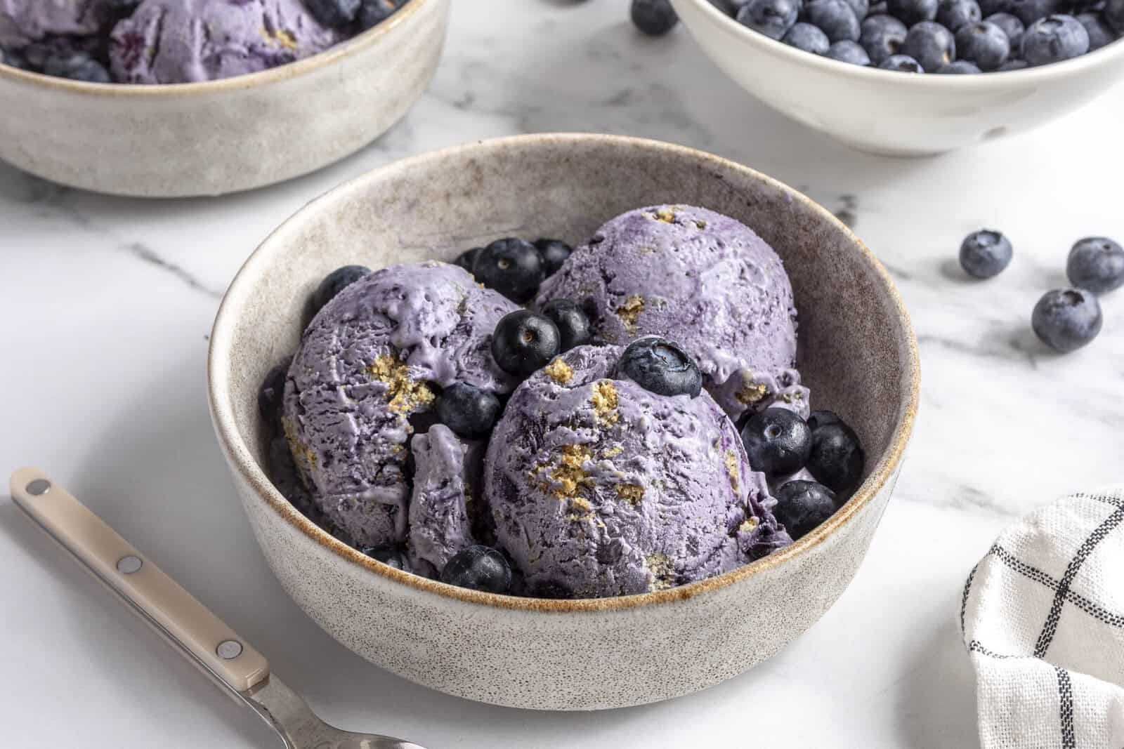 Homemade fresh blueberry ice cream with graham crackers in a bowl.