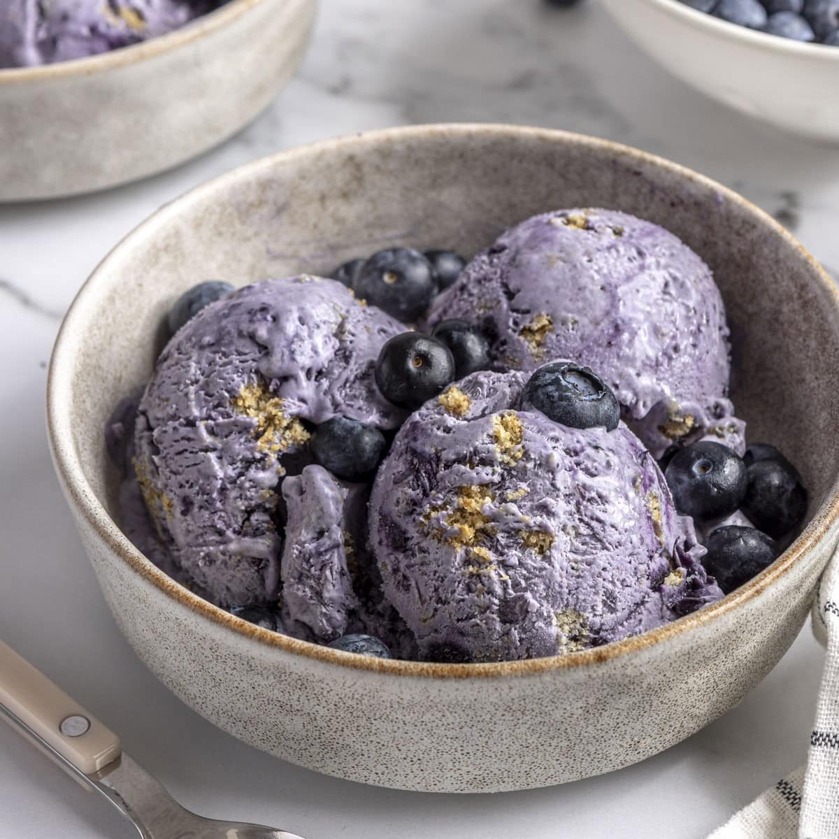 Blueberry Ice Cream Recipe