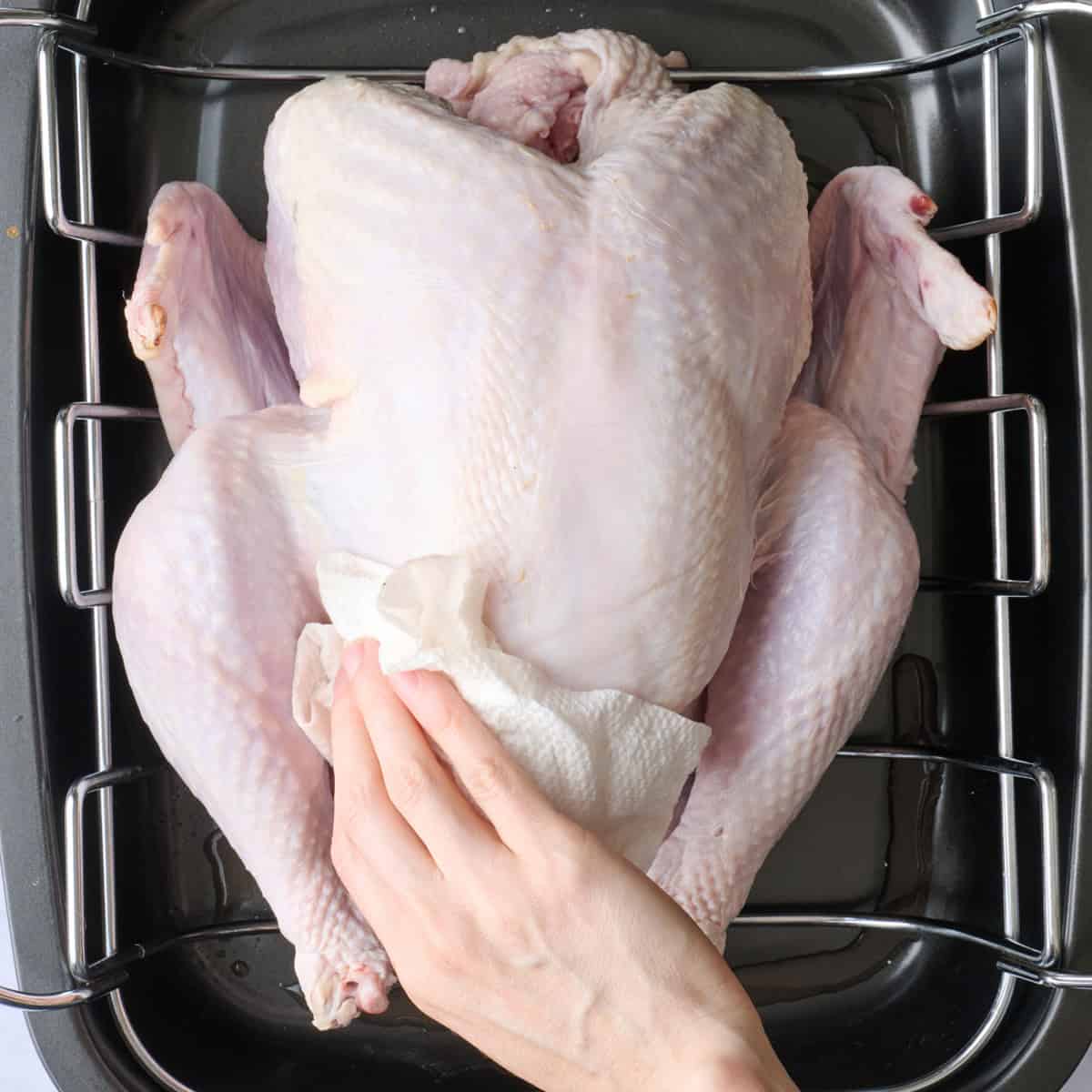Turkey on wire rack over baking sheet being patted dry with paper towels.