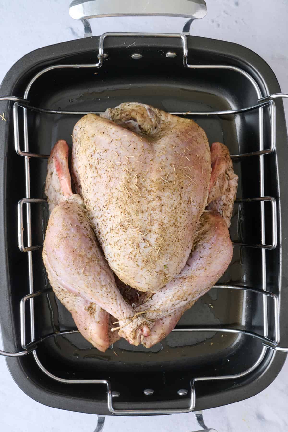 Dry brined turkey in roaster with legs tied, wings tucked, and neck skin pulled under.