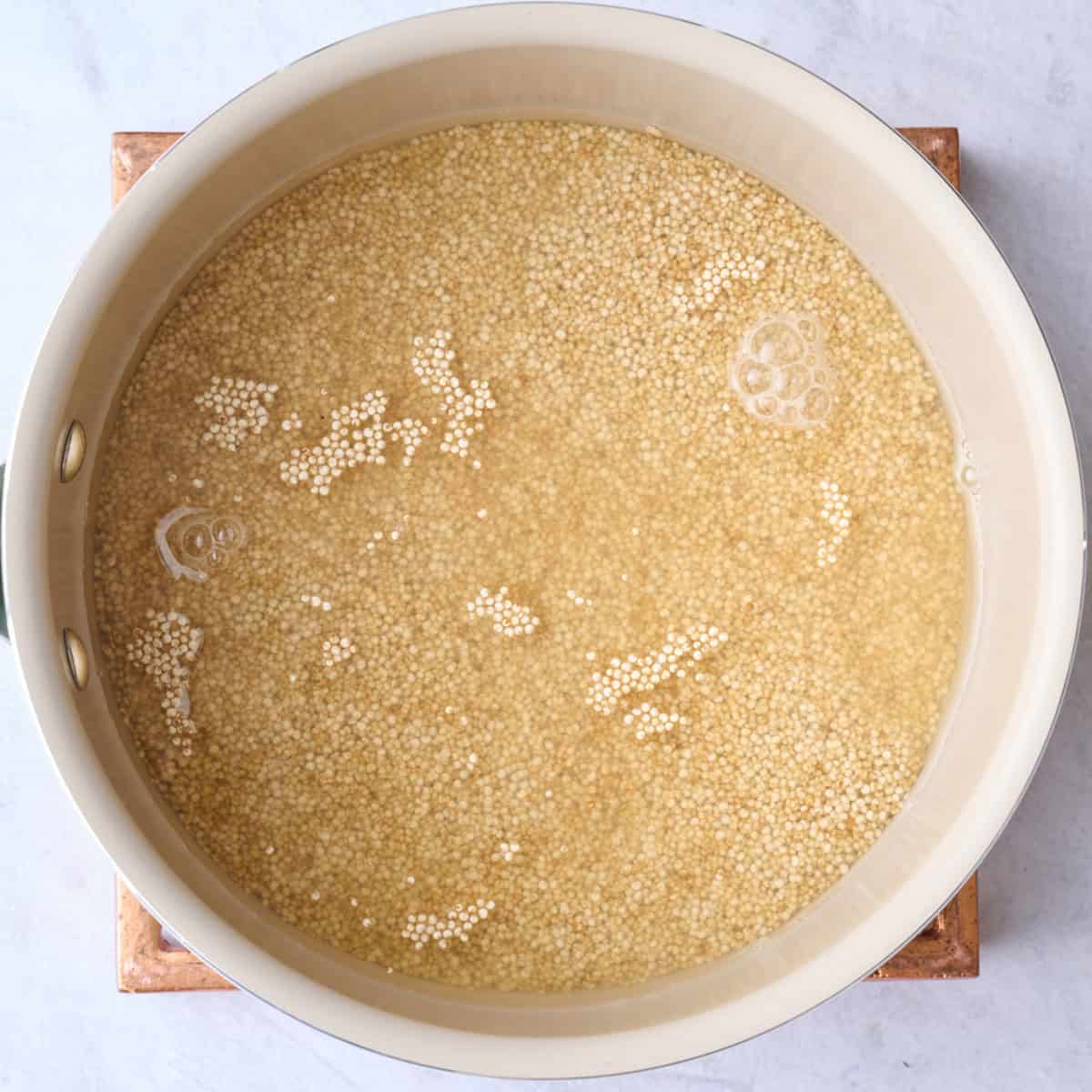 Quinoa in a small pot with water before cooking.