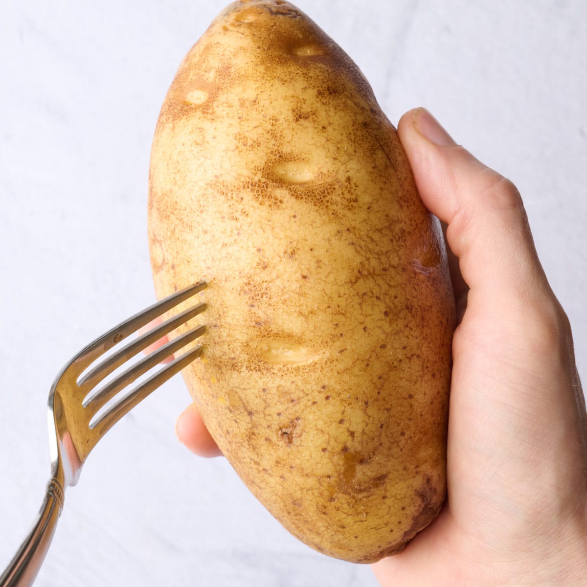 Hand holding a potato and poking holes into it with a fork before microwaving.