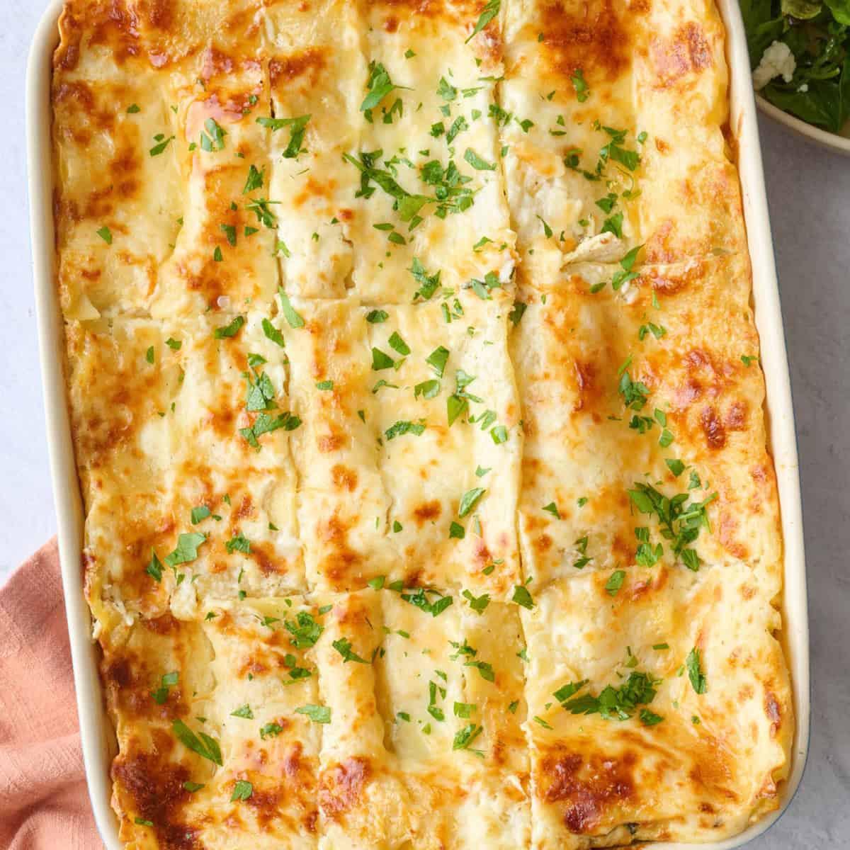 Chicken Lasagna Recipe