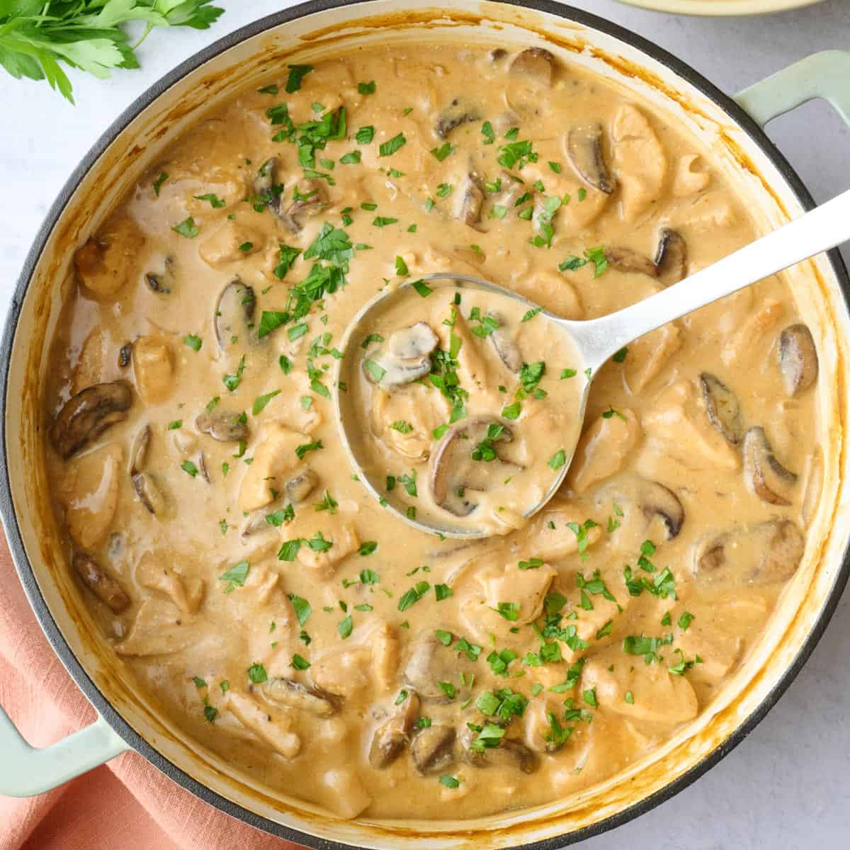 Chicken Stroganoff Recipe