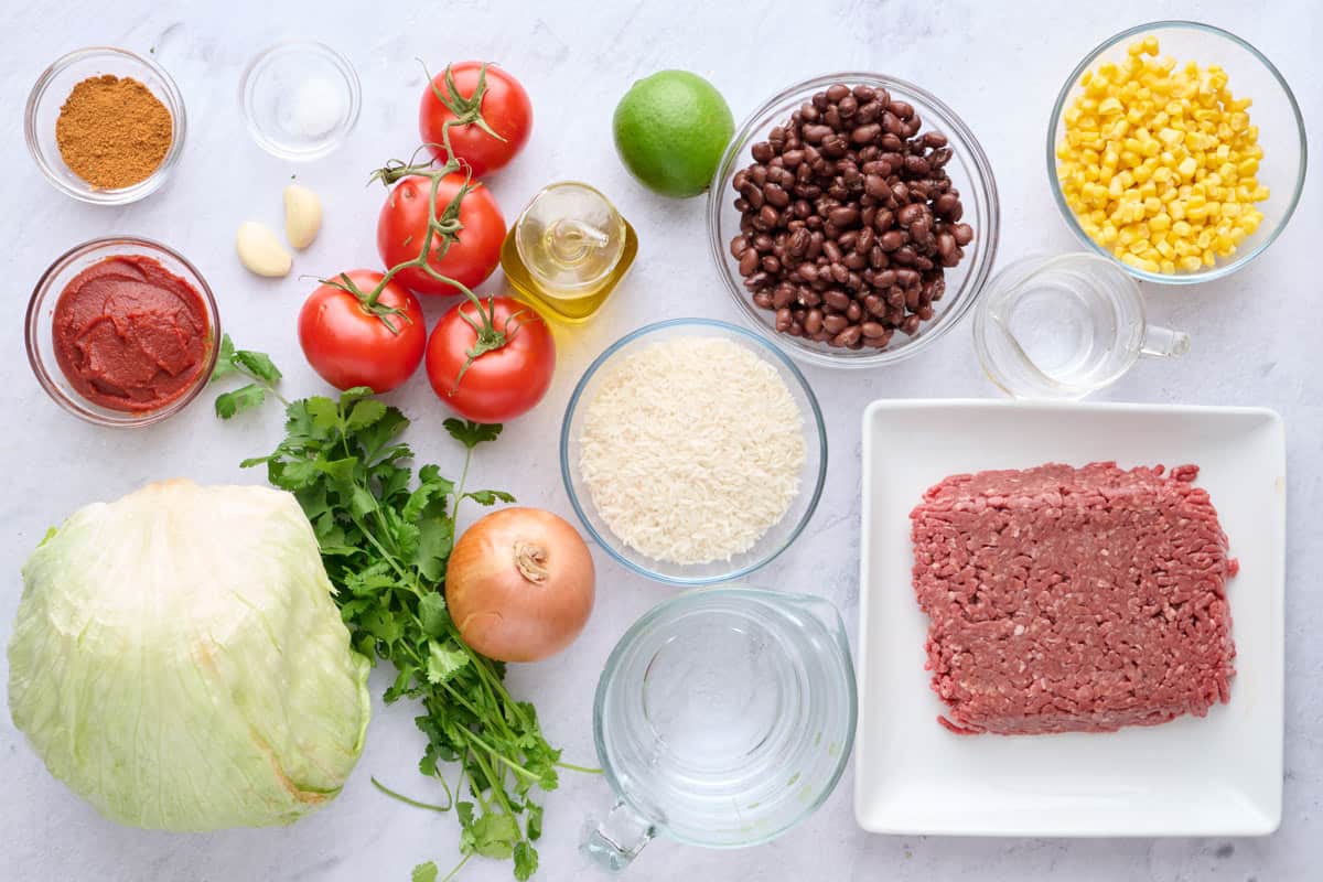 Ingredients for burrito bowl recipe: taco seasoning, tomato paste, salt, garlic, tomatoes, cilantro, onion, rice, oil, lime, black beans, corn, ground beef and lettuce.