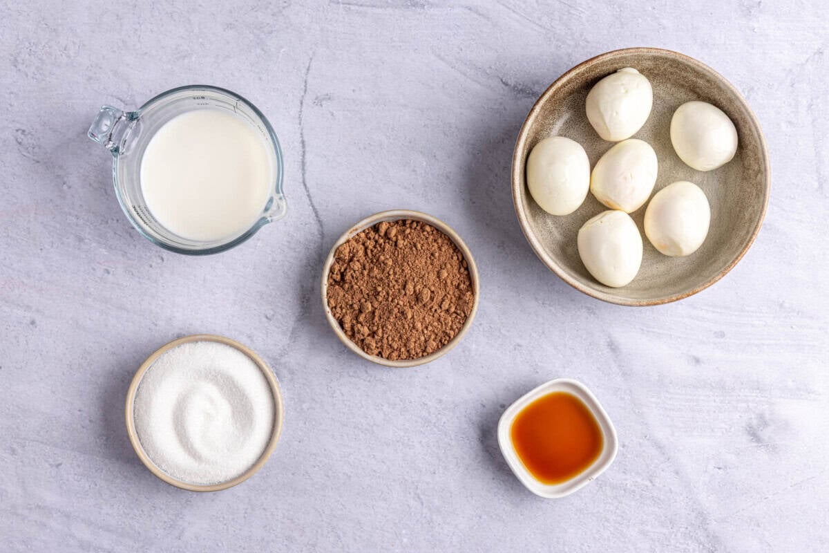 Ingredients for pudding recipe: milk, sugar, cocoa powder, vanilla, and hard boiled eggs.