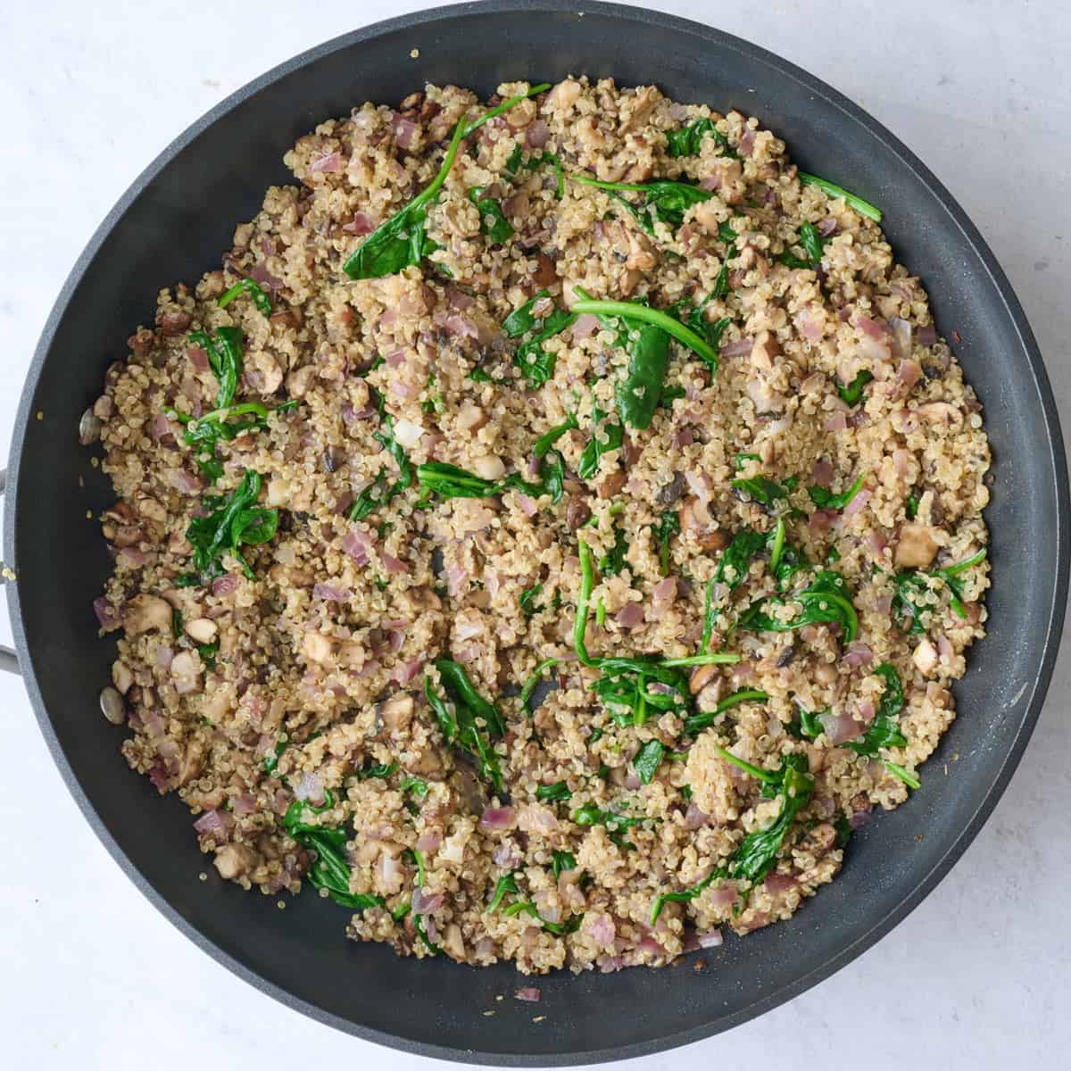 Breakfast quinoa mixture after tossing together.