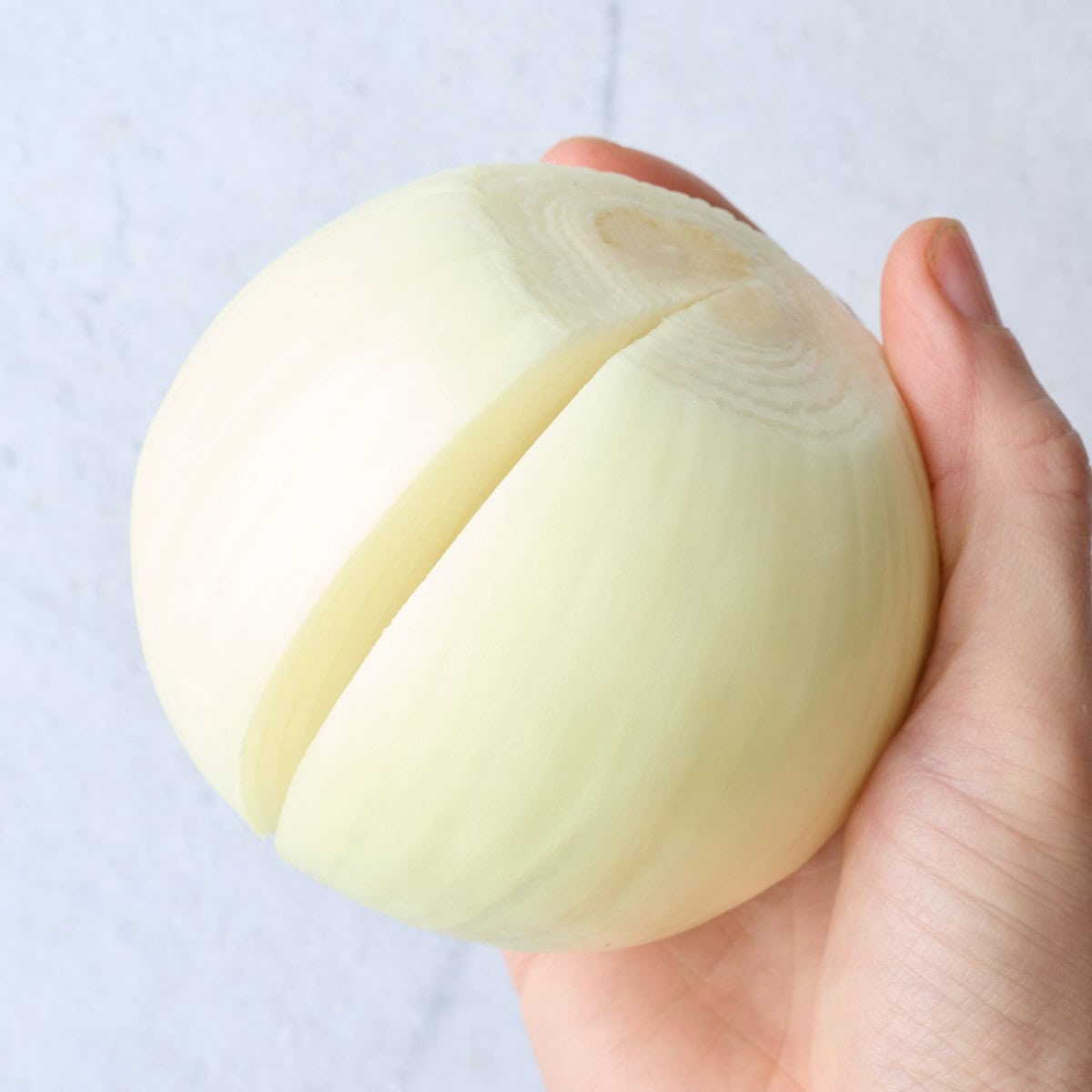 One onion with both ends cut off and a shallow slit cut to the core lengthwise before blanching for stuffed onion recipe.