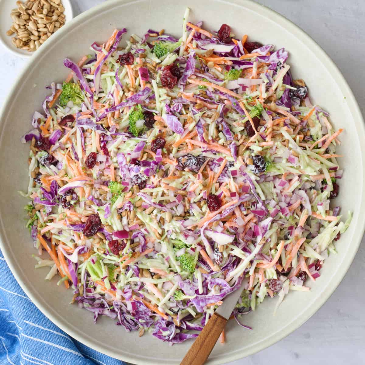 Broccoli Slaw Recipe