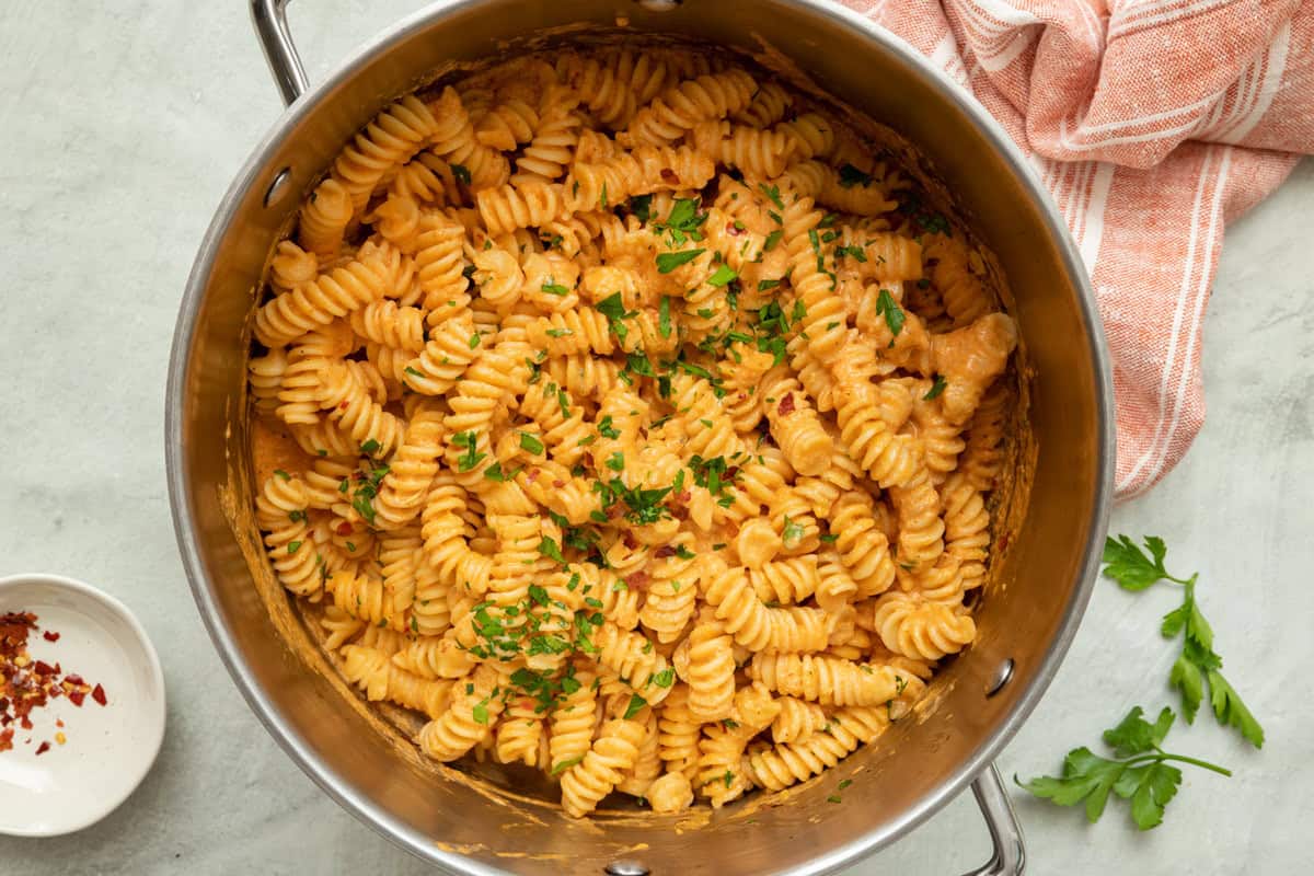 Creamy cottage cheese pasta sauce made with tomatoes.